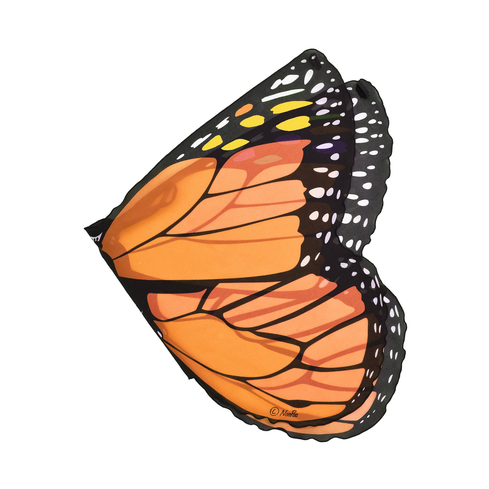 Natural Butterfly & Moth Wings: Monarch Butterlfy