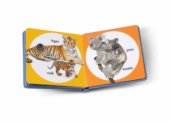 Poke-a-Dot: Wild Animal Families Board Book