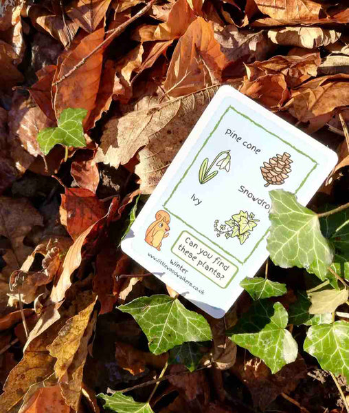 Four Seasons Nature Cards