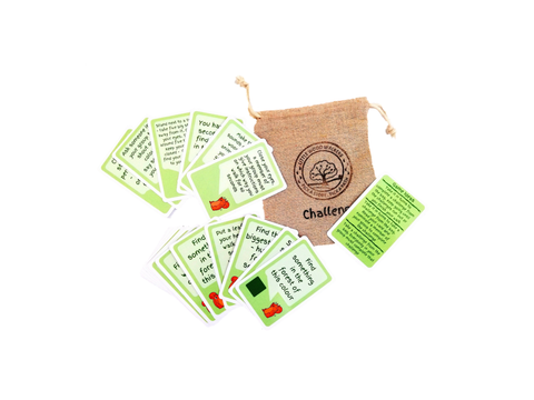 Outdoor Nature Challenge Cards