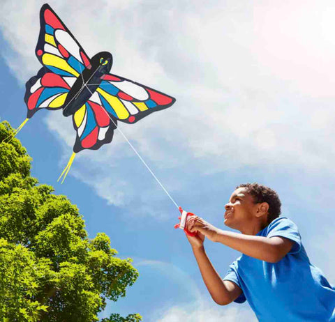 Beautiful Butterfly Kite