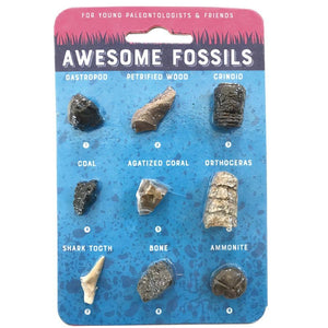 CC: FOSSIL CARD